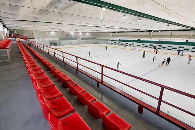 Ледовый дворец 